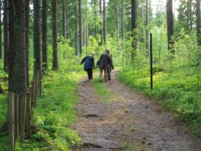 Hovimestaria viedään