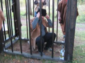 Savihaara halusi myötätunnosta häkkiin