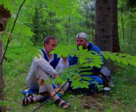 Tuoppicam 11 Tuoppicam 11