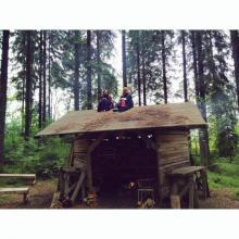 Viima ja Nuoska kikkailemassa katolla